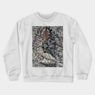 Hairy-necked tiger beetle Crewneck Sweatshirt